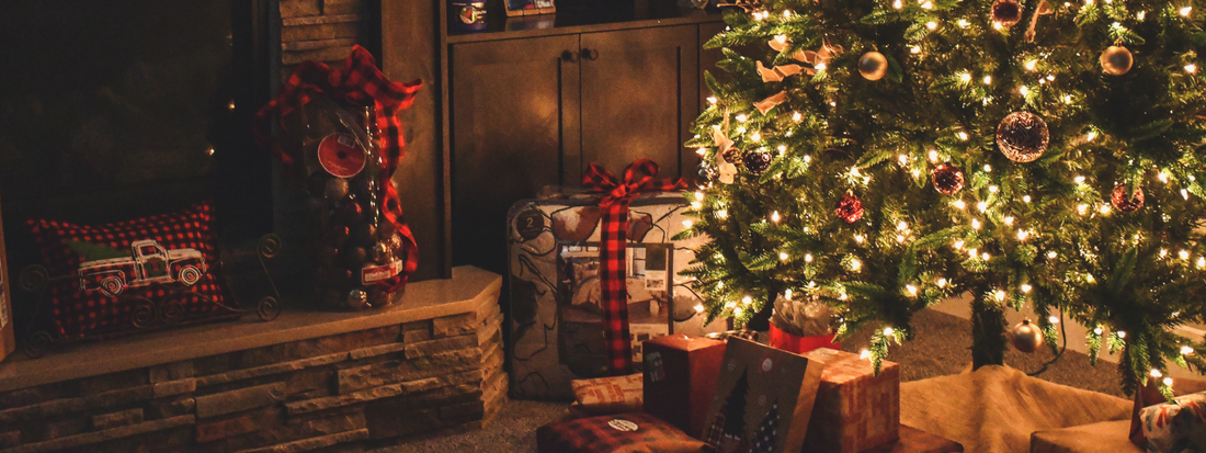 Peek Under the Tree at Stegmann