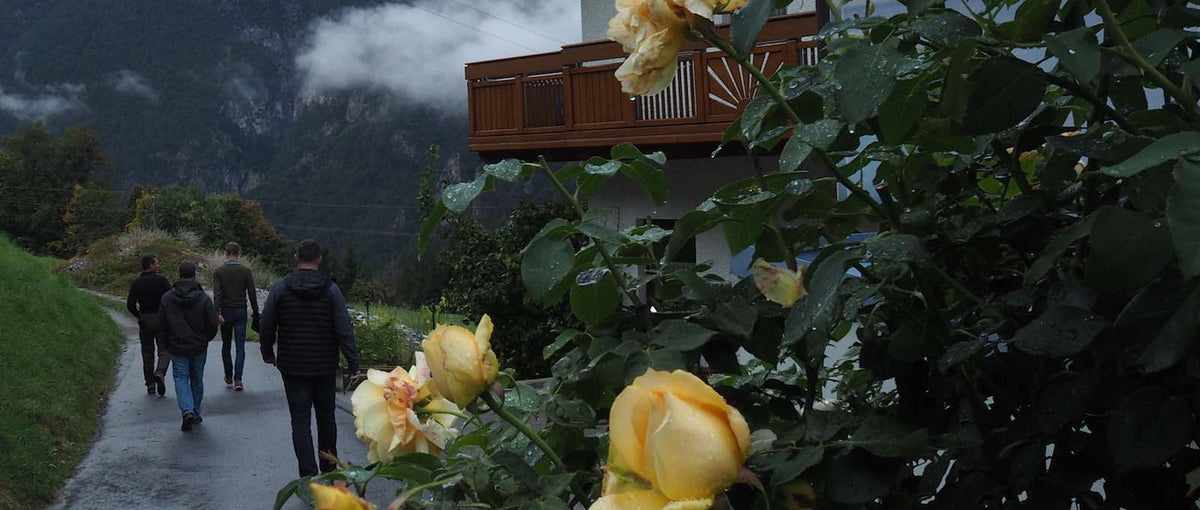 People walking on a path in the mountains with flowers in the foreground.