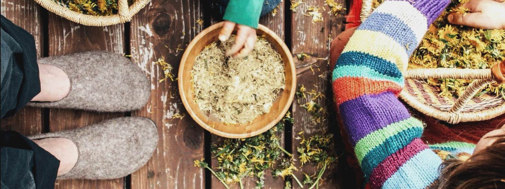 People picking dandelions in comfy and durable Stegmann clogs during the pandemic.